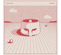 Century Palm - Meet You
