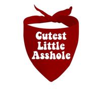CENWA 1 Piece Cutest Little Asshole Over the Collar Dog Bandana Rude Dog Bandana (Cutest Little Asshole D)
