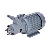 CENWQNZP Hydraulic Gear Pump 380V TOP-210HB Oil Triangular Motor Set 750W TOP-210