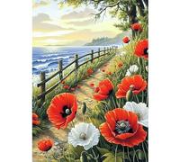 CEOVR Landscape Diamond Painting Kits Adults,Flowers and Birds 5D DIY Diamond Art Kit,30x40 cm,Poppies Blooming Along The Way,Home Decoration