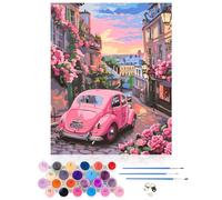 CEOVR Paint by Numbers for Adults,Car DIY Paint by Numbers Kits,Rose Town Paint by Numbers for Adults Beginners,40x50 cm/15.7x19.6 in,Paint by Number Canvas,All Kits Include,Frameless