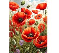 CEOVR Poppy Flower Diamond Painting Art Kits Adults,DIY Diamond Art Painting Kits,12x16 inches,Red Flowers Diamond Art Kits Adults,30x40 cm Souvenir Diamond Painting Craft