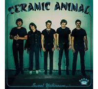 Ceramic Animal - Sweet Unknown