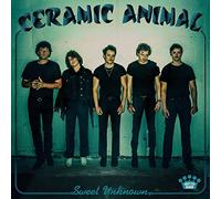 Ceramic Animal - Sweet Unknown [VINYL]