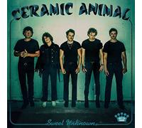 Ceramic Animal - Sweet Unknown [VINYL]