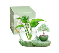 Ceramic Base Propagation Station Desktop Glass Plant Terrarium Vase with Crystal Fortune Tree&Gift Box for Indoo Hydroponic Planter for Home Garden Office Decoration, Thoughtful Gifts for Plant Lovers