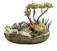 Ceramic Bird Bath, Outdoor, Garden, Table Tops, Deck, Balcony, Lawn, Potted Plant, Outdoor Ceramic Bird Bath, 10 Inch Bird Bath, Ground Bird Feeder and Bird Bath, Functional Feed