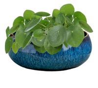 Ceramic Bonsai Bowl | Vintage Ceramic Round Water Lily Planter | Large Caliber Container, Table Centerpiece, Classic Pottery, Glaze Non-Porous Design For Home