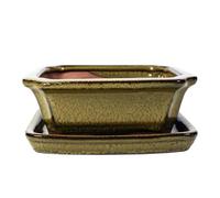 Ceramic Bonsai Pot - 120 x 100 x 45 - Yellow Rectangle Bonsai Tree Planter | With a Matching Drip Tray