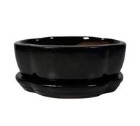 Ceramic Bonsai Pot - 120 x 95 x 45 - Black Oval Bonsai Tree Planter | With a Matching Drip Tray