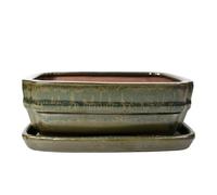 Ceramic Bonsai Pot - 160 x 120 x 55 - Green Rectangle Bonsai Tree Tray | With a Matching Drip Tray