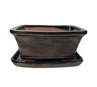 Ceramic Bonsai Pot - 160 x 135 x 70 - Metallic Rectangular Bonsai Tree Tray | With a Matching Drip Tray