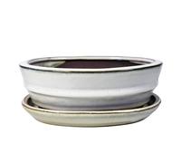 Ceramic Bonsai Pot - 180 x 145 x 60 - White Oval Bonsai Tree Planter | With a Matching Drip Tray