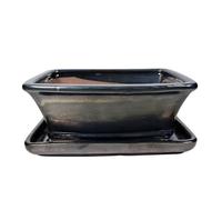 Ceramic Bonsai Pot - 180 x 145 x 70 - Metallic Rectangular Bonsai Tree Planter | With a Matching Drip Tray
