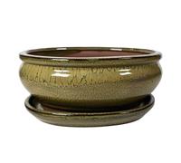 Ceramic Bonsai Pot - 180 x 150 x 75 - Yellow Oval Bonsai Tree Tray | With a Matching Drip Tray