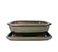 Ceramic Bonsai Pot - 185 x 145 x 60 - Green Rectangle Bonsai Tree Planter | With a Matching Drip Tray