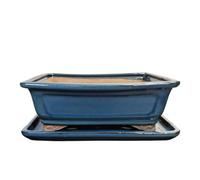 Ceramic Bonsai Pot - 260 x 210 x 90 - Blue Rectangular Bonsai Tree Planter | With a Matching Drip Tray | Glazed
