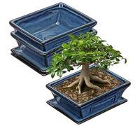 Ceramic Bonsai Pots with Drainage Tray Set of 2, 6 Inch Blue Glazed Bonsai Planters for Indoor/Outdoor Use, Shallow Rectangular Bonzai Tree Pots for Succulent, Orchids, Cacti, Home, Patio, Garden