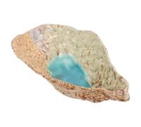 Ceramic Butterfly Feeder Tray for Outdoor Garden Water Dish