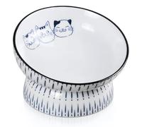 Ceramic Cat Feeder, Cat Food Bowl, Elevated Cat Bowls with Stand, 15° Tilted, Neck Protective, Backflow Prevention (Cat Bowls-A)