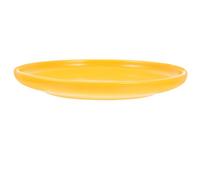 Ceramic Cat Food Bowl, for Kittens Shallow round Plate | Easy-clean Design, Anti-skid Base, Large Capacity, Home or Patio Feeding, Bright Contemporary Styling