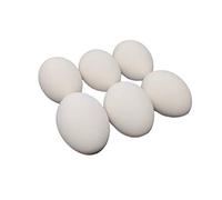 Ceramic Chicken Nesting Eggs (White) - Fake Training Eggs for Laying Chickens, Hen Nest Boxes & Home Decoration - 6 Pack