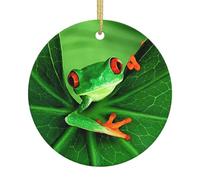 Ceramic Christmas Cute Frog Print Ornaments 2025,Classic Round Hanging Ornaments,Christmas Tree Hanging Decorations