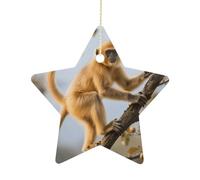 Ceramic Christmas Ornament 2.7 Inch - Golden Snub-Nosed Monkey Double Sided Xmas Tree Decor Star Shaped with Gold Rope, Vintage Holiday Hanging Pendant for Home Wall Window Decor