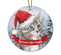 Ceramic Christmas Ornaments Cute Cat Dear Santa Define Naughty Christmas Tree Decorations Personalized With Rope Keepsake