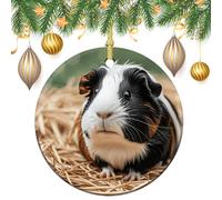 Ceramic Christmas Ornaments Xmas Hanging Ornament with Gold String, Porcelain Cute Guinea Pigs Christmas Tree Decorations for Fireplace Mantel Wreath Xmas Holiday Party Winter Decor Gift