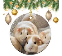 Ceramic Christmas Ornaments Xmas Hanging Ornament with Gold String, Porcelain Guinea Pigs Christmas Tree Decorations for Fireplace Mantel Wreath Xmas Holiday Party Winter Decor Gift