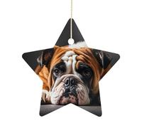 Ceramic Christmas Star Ornament 2.7 Inch, Double-Sided Printed, Durable & Fade-Resistant Xmas Decoration A Sad Bulldog Ornaments for Tree, Gift & Holiday Home Decor