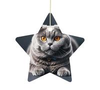 Ceramic Christmas Star Ornament 2.7 Inch, Double-Sided Printed, Durable & Fade-Resistant Xmas Decoration A Gray Cat is Lying Ornaments for Tree, Gift & Holiday Home Decor