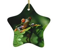Ceramic Christmas Tree Hanging Ornaments â€“ Star Shaped Double Sided Peace Frog Tree Print, Indoor & Outdoor Holiday Decor