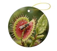 Ceramic Christmas Tree Ornaments - Venus Flytrap Catching Round Decor Hanging Pendants, Winter Holiday Tree Hanging Decor with String, Xmas Gift Keepsake for Women & Men