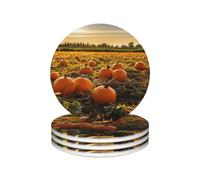 Ceramic Coasters for Drinks Round Shape Drink Coasters with Metal Holder Pumpkins on the ground Ceramic Coaster Set of 4 Tabletop Protection Mat for Home Decor
