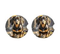 Ceramic Coasters for Drinks White Drink Coasters with Metal Holder A cute dachshund Ceramic Coaster Set of 2 Tabletop Protection Mat for Home Decor