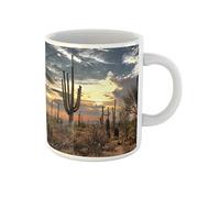 Ceramic Coffee Mug Blue Cactus Desert Landscape Red Arid Arizona Cacti Clouds with Handle Coffee Mug Durable Ceramic Drinkware for Latte Friends Restaurant