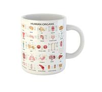 Ceramic Coffee Mug Complete Chart Different Human Organs Eye Ear Novelty Mug Durable Tea Cups for Coworkers Latte Cafes