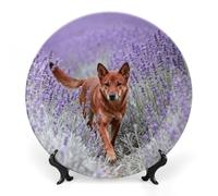 Ceramic Dingo in Lavender Field Decorative Plate for Wall Hanging 8inch Large Bone China Dinner Plates with Display Stand Porcelain Art Dish for Home Kitchen Office Wedding Gift Farmhouse Decor