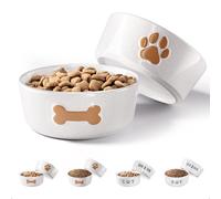 Ceramic Dog Bowl Set of 2 with Anti-Skid Base - 5" Wide x 2" Tall Ceramic Dog Bowls for Small Dogs - 2 Cup Capacity Food and Water Bowls for Dogs - Rubber Bottom Pet Bowl Set of 2 for Small Pets