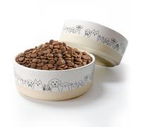 Ceramic Dog Bowls Set of 2，6.1inch Wide Dog Food Bowl with Cute Patterns Printing for Small Medium and Large Breed Dogs,Weighted Pet Feeding Dishes for Food and Water Dishwasher Safe