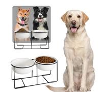 Ceramic Elevated Dog Bowl Set - Large Dog Feeding Bowls with Non-Slip Metal Stand - Raised Dog Food and Water Bowl Set - Double Pet Dishes for Medium and Large Dogs - 3.5 Cups - 54 fl oz - Matte White