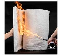 Ceramic Fiber Blanket, Heat Resistan 2400F, Fireproof Insulation Liner for Stoves, Fire Bricks, Ovens, Heat Insulation, Fire Prevention (Color : White, Size : 61x200cm)