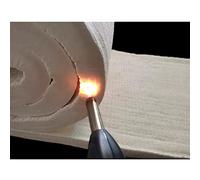 Ceramic Fiber Insulation Blanket, 20mm Fireproof Insulation Baffle for Dishwasher, Forge, Fireplace, Kilns, Oven, Rated to 2400F (Color : White, Size : 61x400cm)