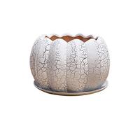 Ceramic Flower Pots Silver Crack Ceramic Planter Plant Pots Pumpkin Shape Cactus Ceramic Pot Indoor Outdoor Decorative Garden Container for Succulents Plants Flowers