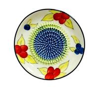 Ceramic Garlic Grater Non-Slip Food-Grade | Spanish Tomato Grater Plate Ginger Cheese Nut Wasabi Onion Yam for Home Counter Apartment Restaurant Camping BBQ