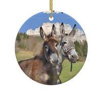 Ceramic Hanging Decorative Ornaments – Funny Donkeys Full-Print Christmas Tree Home Party, Round Keepsake