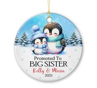 Ceramic Hanging Promoted To Big Sister Ceramic Ornament Keepsake Christmas Baubles Unique Ceramics Xmas Ornament For Holiday Family Party 7.3Cm