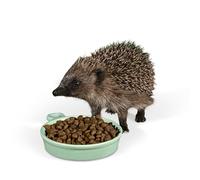Ceramic Hedgehog Food Bowl - Jacobi Jayne® Hedgehog Feeding Dish - Durable, Weather Resistant Feeding Bowl Specially Designed for Comfort, Stability, and Outdoor use